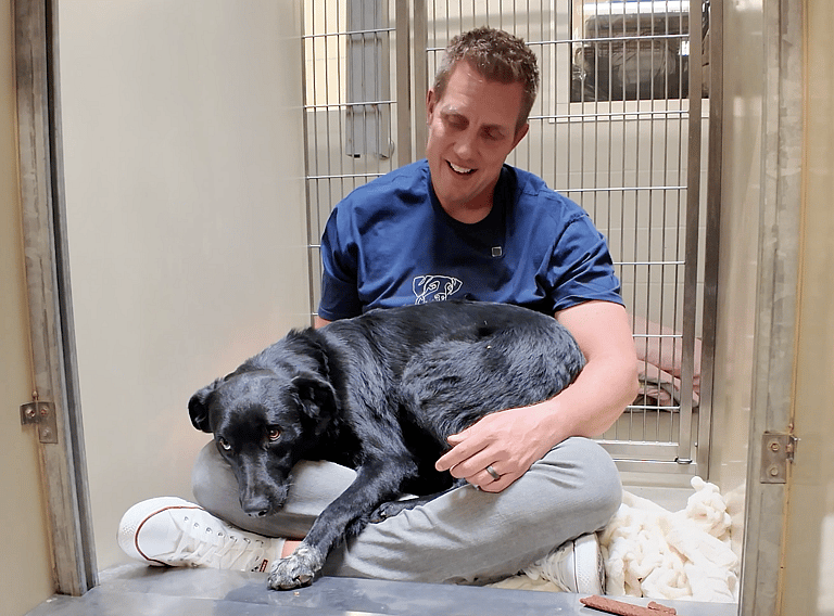 Sitting with dogs 72: Billy